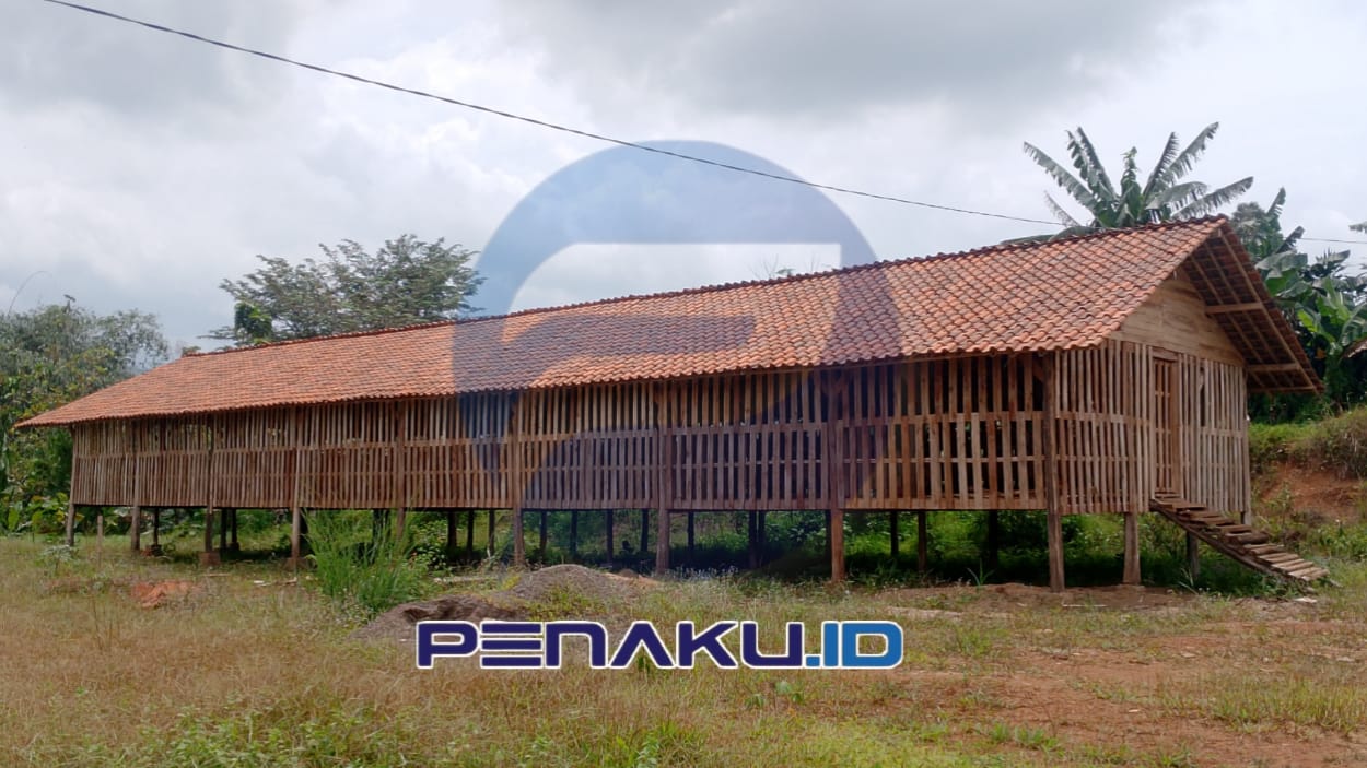 Buntut Pengambilalihan Proyek oleh Kades, Fisik Kandang Kambing Selawangi Tak Sesuai RAB