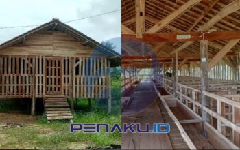 Geger!! Puluhan Kambing BUMDes Selawangi Hilang Misterius, Anggaran 2025 Diduga Menguap 