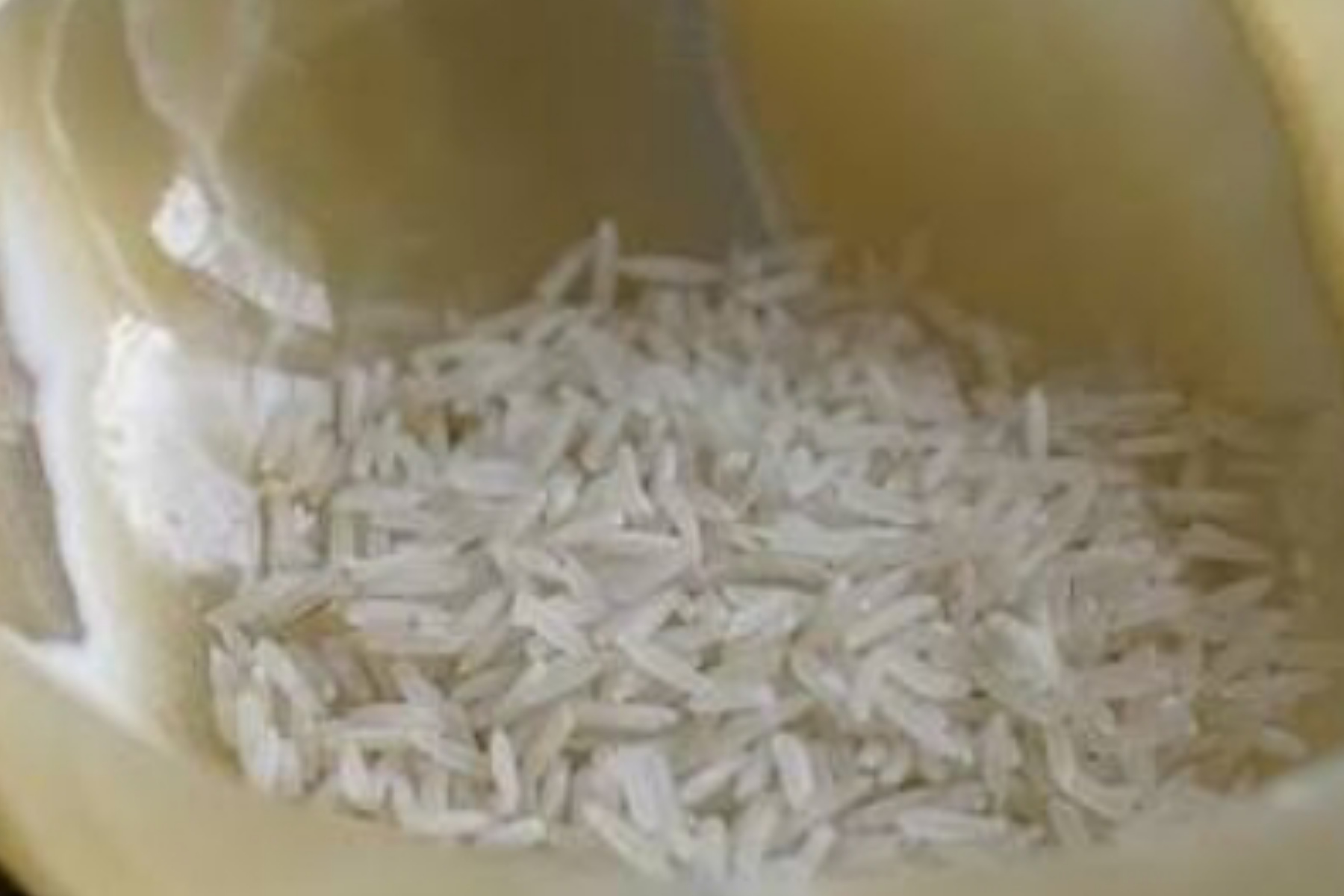 Hukum Zakat Fitrah: Kewajiban yang Tak Boleh Terabaikan