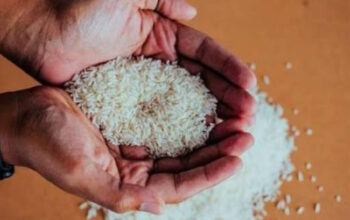 Ini Niat Zakat Fitrah 2026 Lengkap untuk Diri Sendiri dan Keluarga