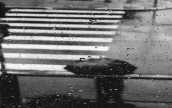 Ini Prakiraan Cuaca Hari Ini, Hujan Lebat Mengintai