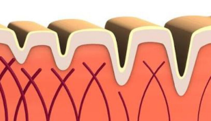 Manfaat Kolagen untuk Menjaga Kekuatan Tulang dan Sendi