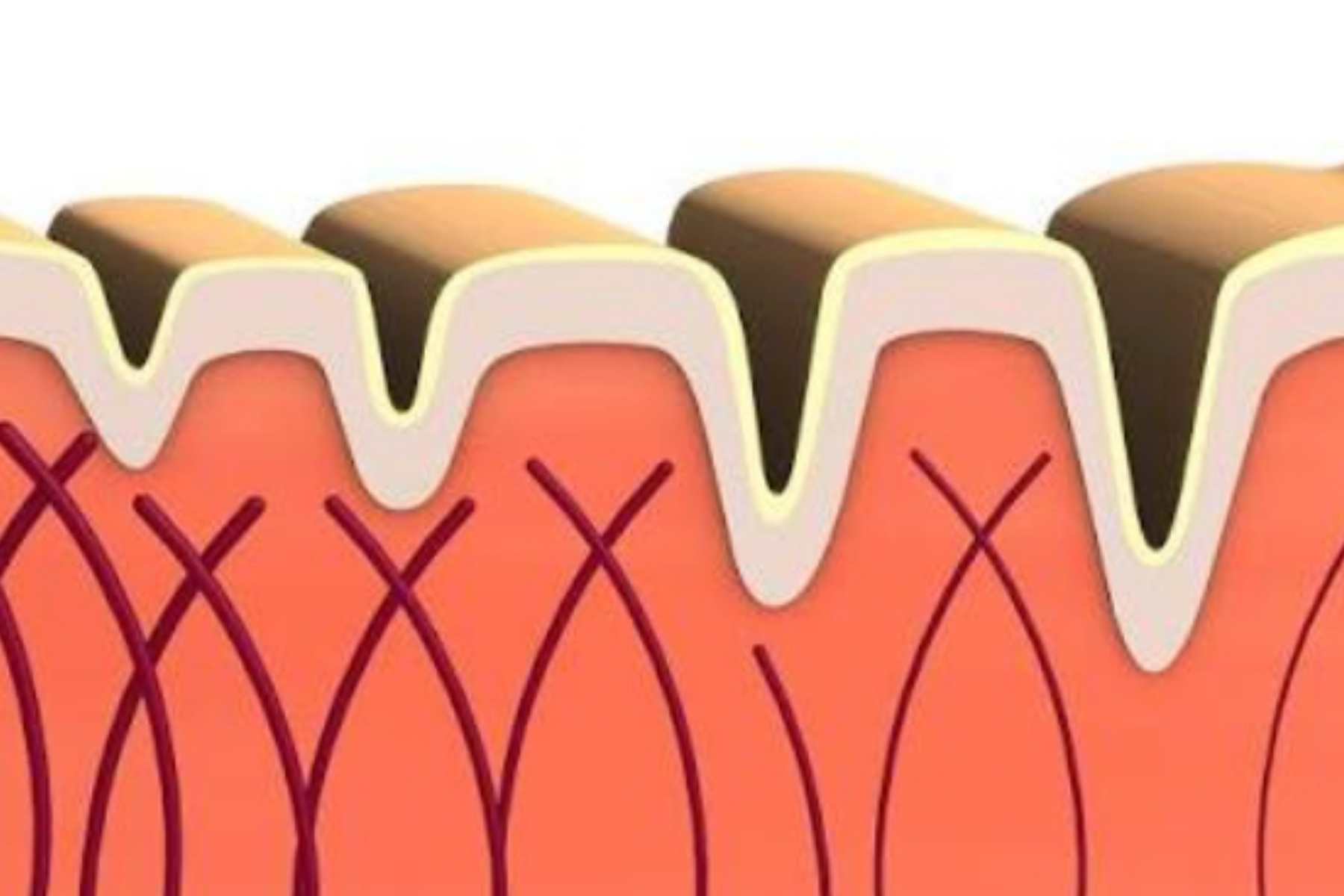 Manfaat Kolagen untuk Menjaga Kekuatan Tulang dan Sendi