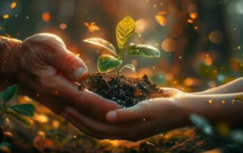 Menakar Nilai: Mengapa Pengalaman Hidup Tak Tergantikan? 3 Menakar Nilai: Mengapa Pengalaman Hidup Tak Tergantikan?