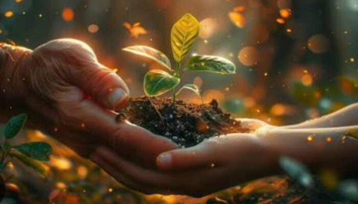 Menakar Nilai: Mengapa Pengalaman Hidup Tak Tergantikan?