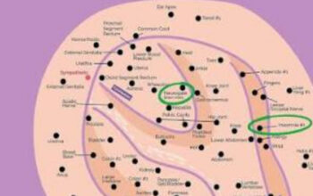 Mengenal Ear Seeds: Terapi Akupunktur Tanpa Jarum yang Viral