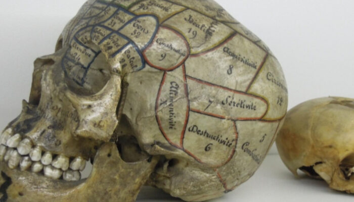 Menguak Phrenology: Antara Sejarah Kepribadian dan Ilmu Semu
