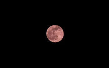 Pink Moon 2026 Terbit Awal April, Ini Makna dan Faktanya