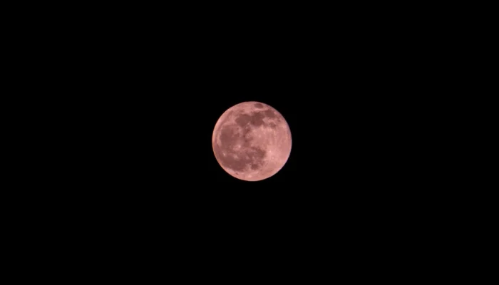 Pink Moon 2026 Terbit Awal April, Ini Makna dan Faktanya