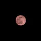 Pink Moon 2026 Terbit Awal April, Ini Makna dan Faktanya
