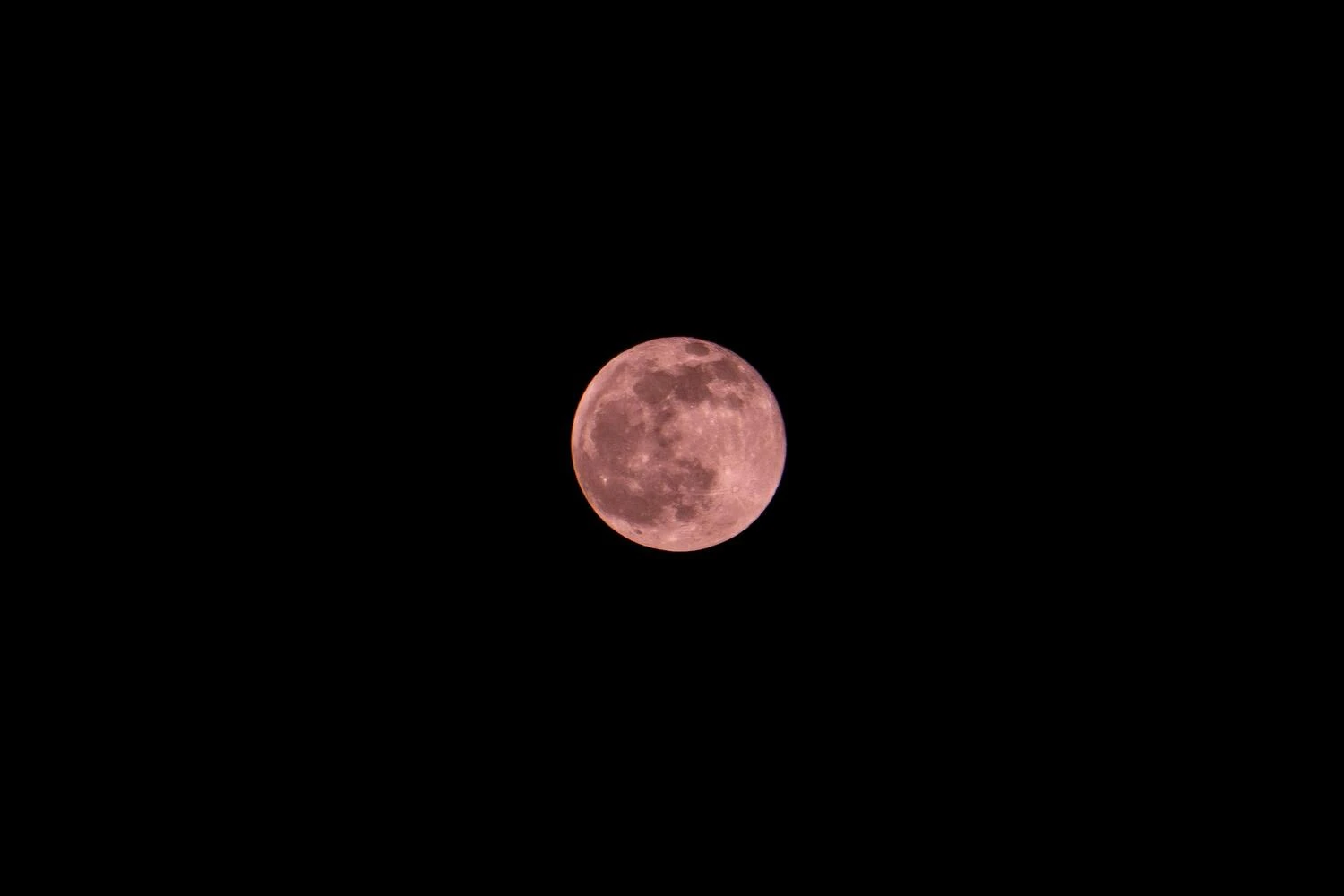 Pink Moon 2026 Terbit Awal April, Ini Makna dan Faktanya