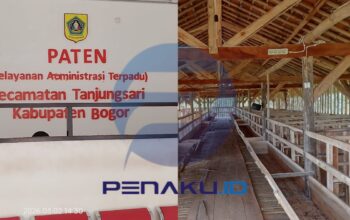 Puluhan Kambing BUMDes Selawangi Hilang Diduga Dijual Kades, Pejabat Kecamatan Tanjungsari Kompak Bungkam