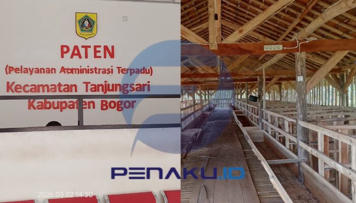 Puluhan Kambing BUMDes Selawangi Hilang Diduga Dijual Kades, Pejabat Kecamatan Tanjungsari Kompak Bungkam