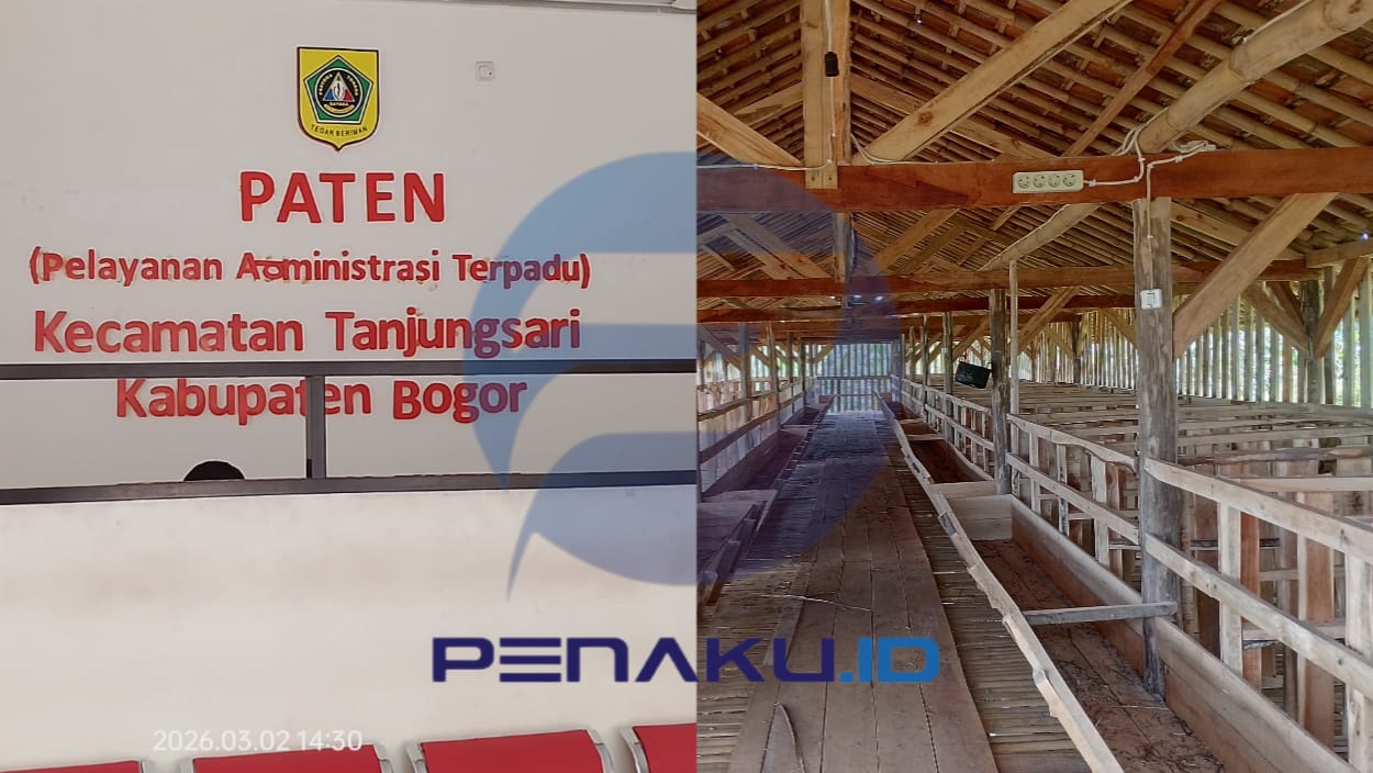 Puluhan Kambing BUMDes Selawangi Hilang Diduga Dijual Kades, Pejabat Kecamatan Tanjungsari Kompak Bungkam