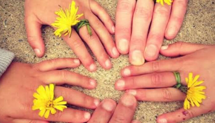 Rahasia Membina Rumah Tangga yang Kokoh dan Harmonis