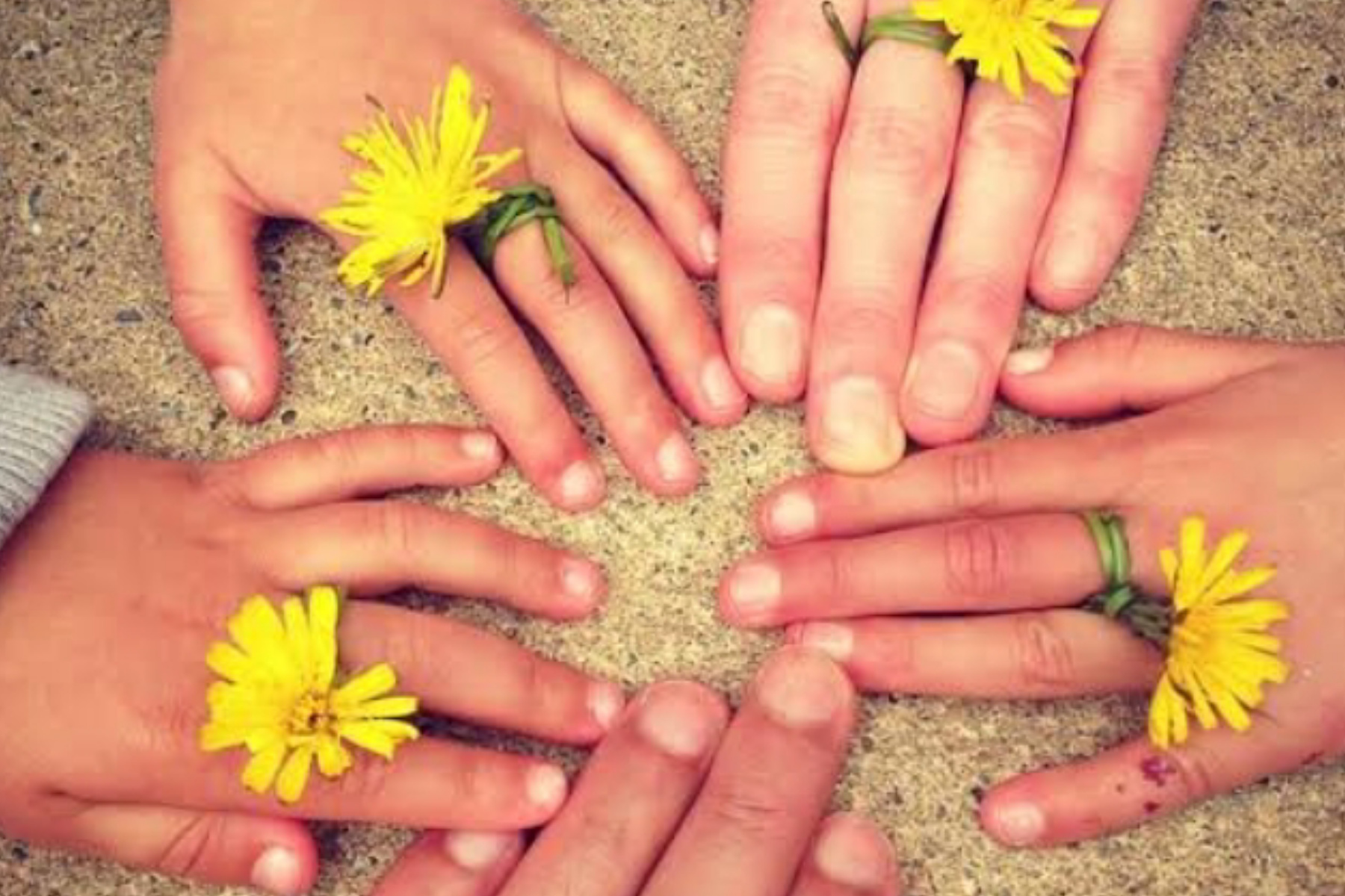 Rahasia Membina Rumah Tangga yang Kokoh dan Harmonis