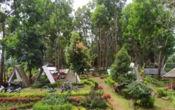 Sejuk dan Asri, Puncak Belendung di Sukaraja Jadi Destinasi Favorit di Kaki Gunung Gede Pangrango Sukabumi