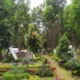 Sejuk dan Asri, Puncak Belendung di Sukaraja Jadi Destinasi Favorit di Kaki Gunung Gede Pangrango Sukabumi