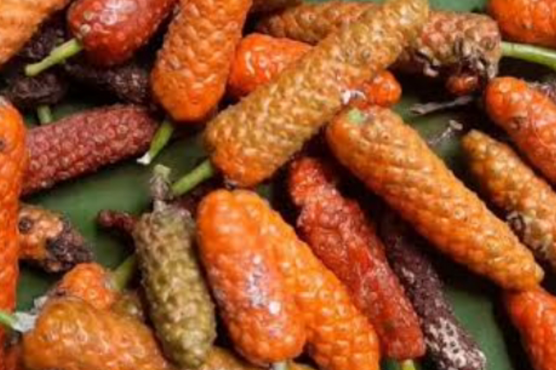 Stamina Pria Meningkat! Simak Manfaat Cabe Jawa yang Luar Biasa Ini