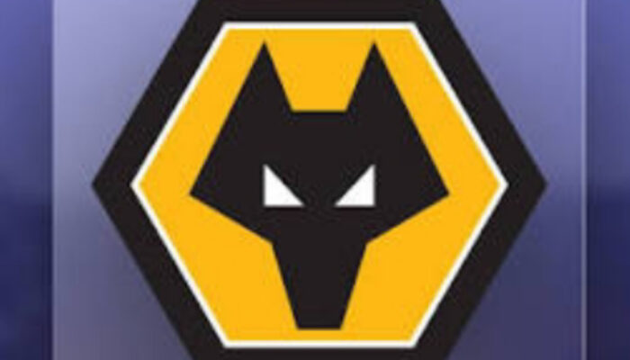 Strategi Transfer Wolves: Fokus pada Keuntungan Finansial