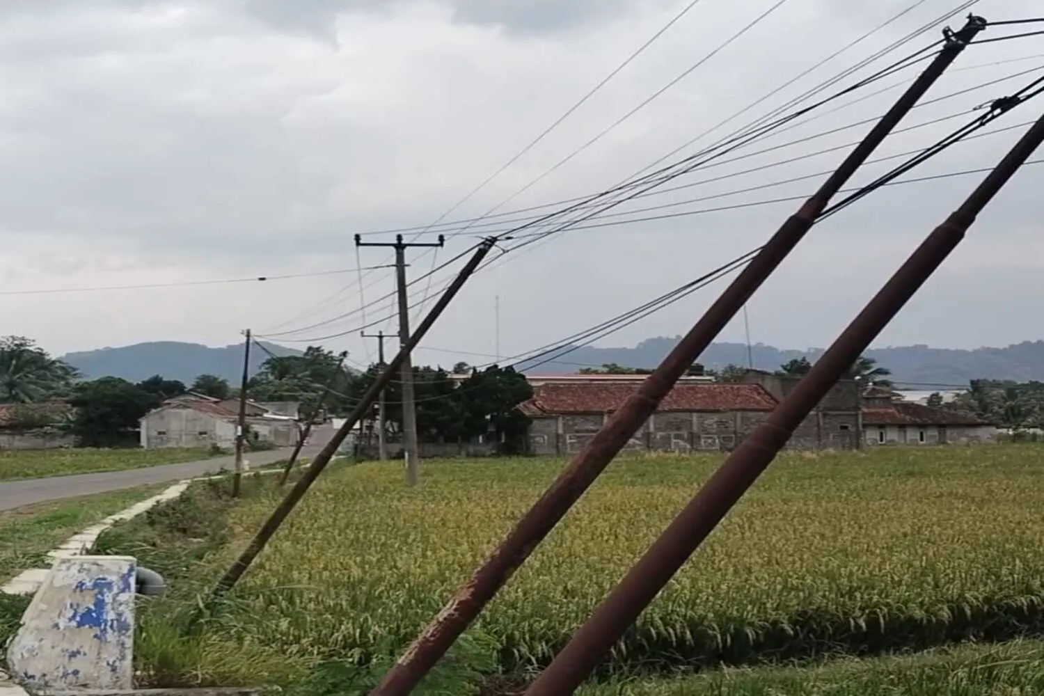 Tiang Kabel Nyaris Ambruk di Cianjur, Telkom Diminta Bertindak