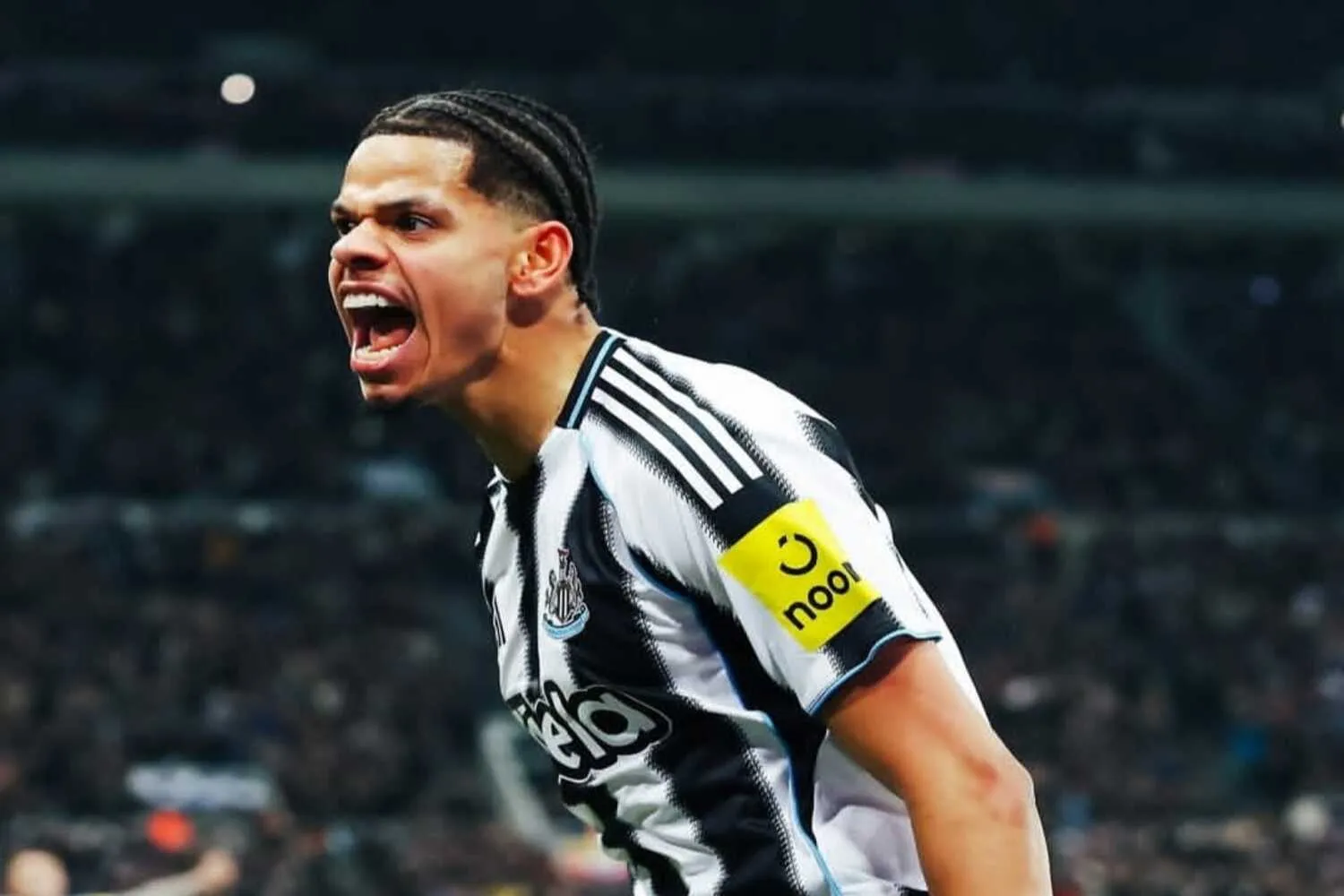 William Osula, Striker Muda Newcastle yang Mulai Jadi Sorotan