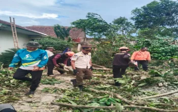 Angin Kencang Mengamuk di Cianjur, Ratusan Rumah Porak-poranda!
