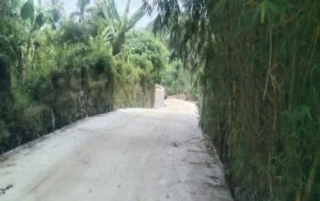 Diduga Jadi Ajang Penipuan, Proyek Ketahanan Pangan di Pasawahan Kidul, Kecamatan Pasawahan, Purwakarta Disorot