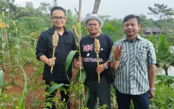 Dukung Ketahanan Pangan, DPP dan DPD JAGATARA Sambangi Petani Sorgum di Bojong Gede