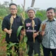 Dukung Ketahanan Pangan, DPP dan DPD JAGATARA Sambangi Petani Sorgum di Bojong Gede