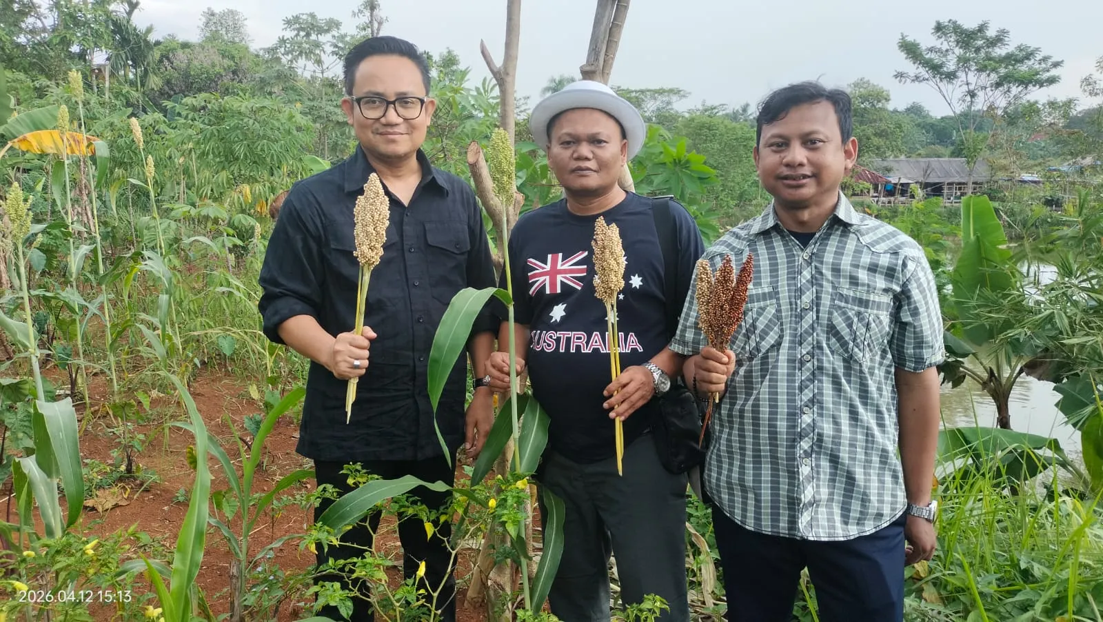 Dukung Ketahanan Pangan, DPP dan DPD JAGATARA Sambangi Petani Sorgum di Bojong Gede