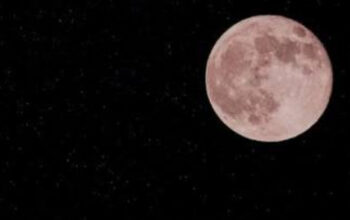 Fenomena Pink Moon: Benarkah Bulan Akan Berubah Warna Menjadi Merah Muda?