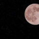Fenomena Pink Moon: Benarkah Bulan Akan Berubah Warna Menjadi Merah Muda?