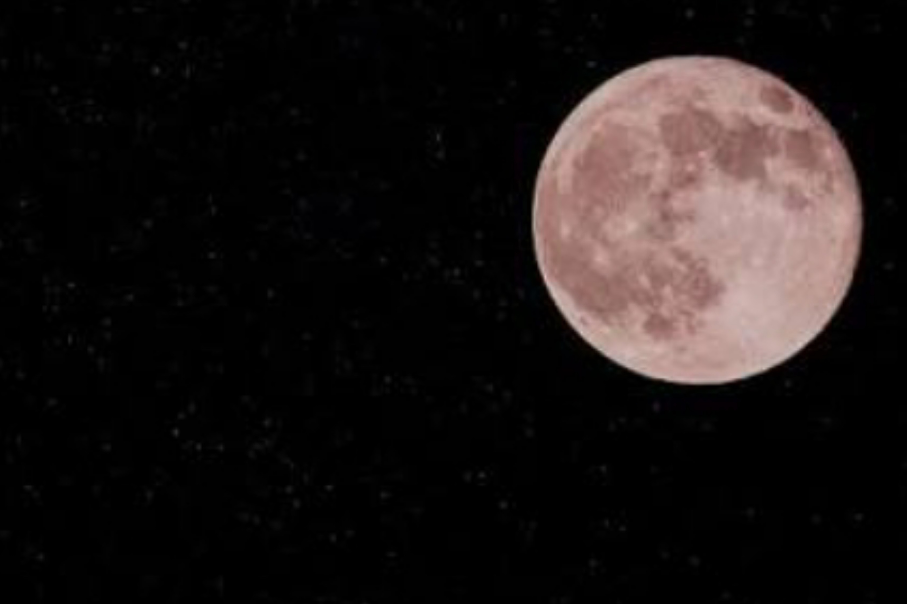 Fenomena Pink Moon: Benarkah Bulan Akan Berubah Warna Menjadi Merah Muda?