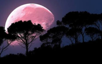 Fenomena Pink Moon: Pesona Langit yang Melampaui Sekadar Warna