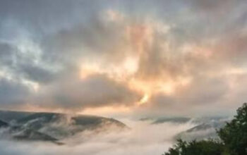 Jangan Lewatkan! Manfaat Ajaib Sinar Matahari Pagi Bagi Tubuh