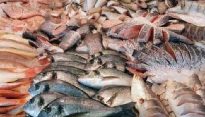 Jangan Sampai Tertipu! Bahaya Tersembunyi di Balik Ikan Mengilap di Pasar Tradisional