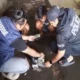 Jaringan Obat Terlarang di Karawang Terbongkar, Bandar Utama Masuk DPO