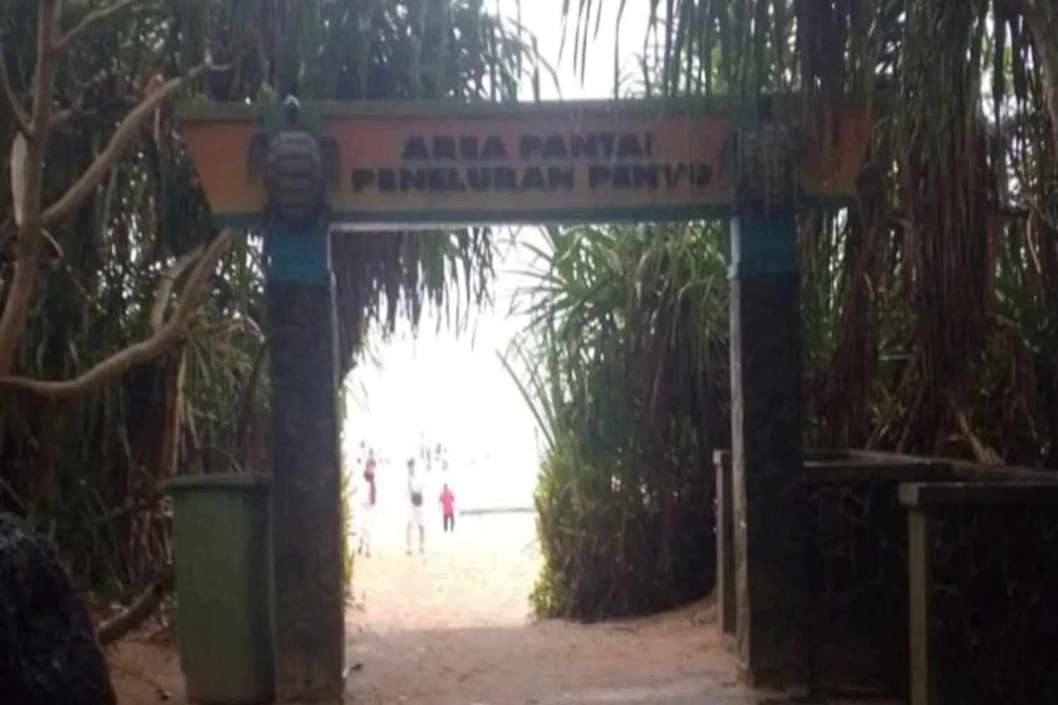 Jelajah Pajampangan: Menemukan Jejak Purba dan Harapan Pasir Silika di Selatan Sukabumi 1 Jelajah Pajampangan Menemukan Jejak Purba dan Harapan Pasir Silika di Selatan Sukabumi