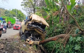 Kecelakaan Maut di Jalur Puncak-Cianjur, 1 Orang Meninggal