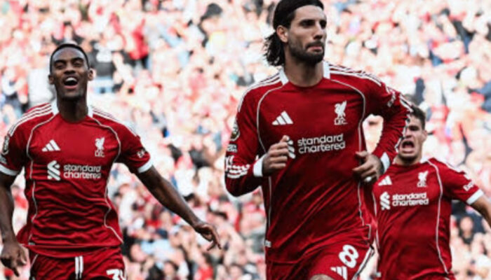 Krisis Lini Serang Liverpool: Ekitike Absen, Lewandowski Jadi Solusi?