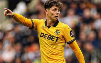 Leeds dan Brighton Berebut Ladislav Krejci dari Wolves