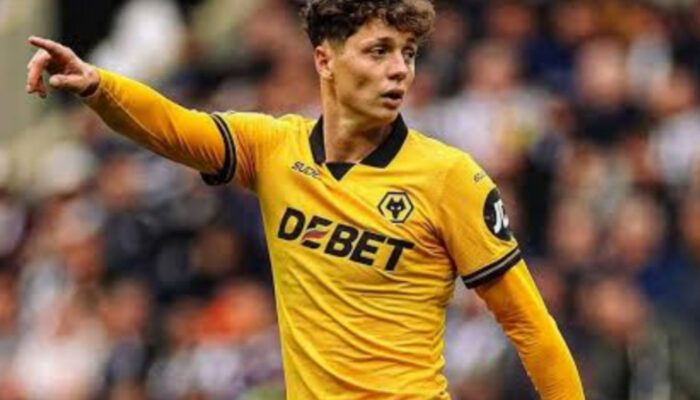 Leeds dan Brighton Berebut Ladislav Krejci dari Wolves