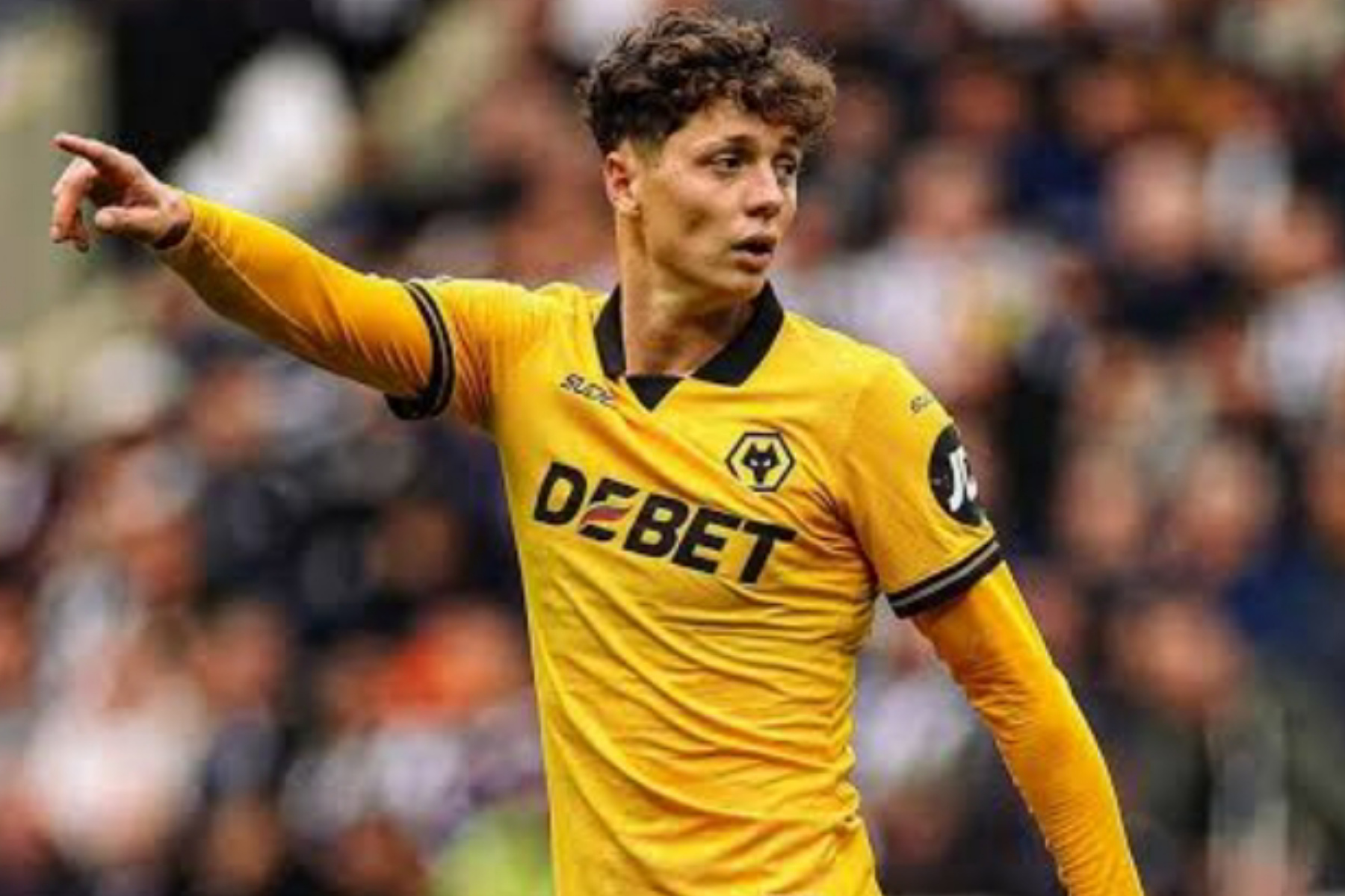 Leeds dan Brighton Berebut Ladislav Krejci dari Wolves