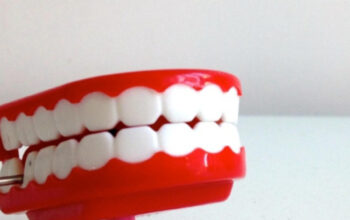 Mamelon Gigi: Fenomena Normal pada Gigi Seri Anak yang Baru Tumbuh