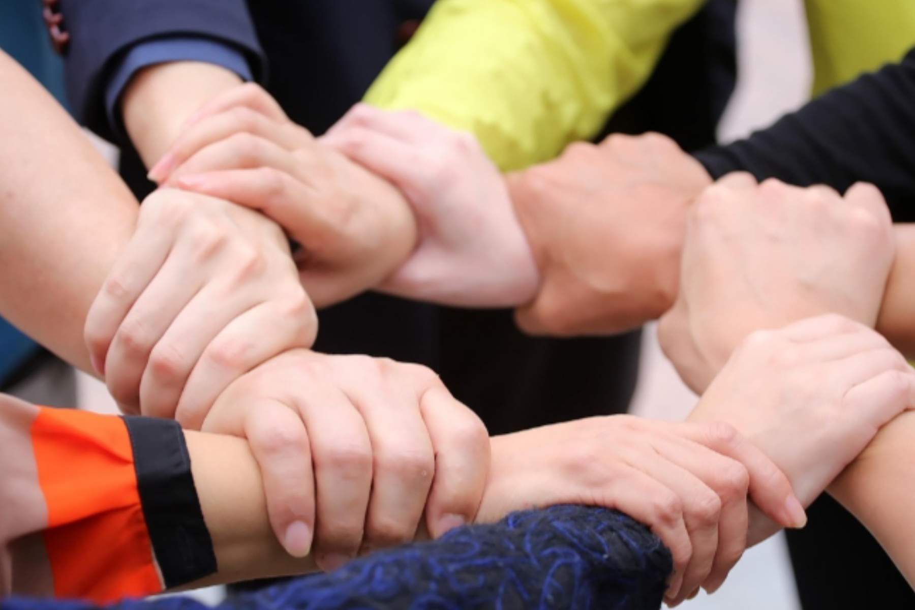 Membangun Kepercayaan: Mata Uang Paling Berharga dalam Relasi