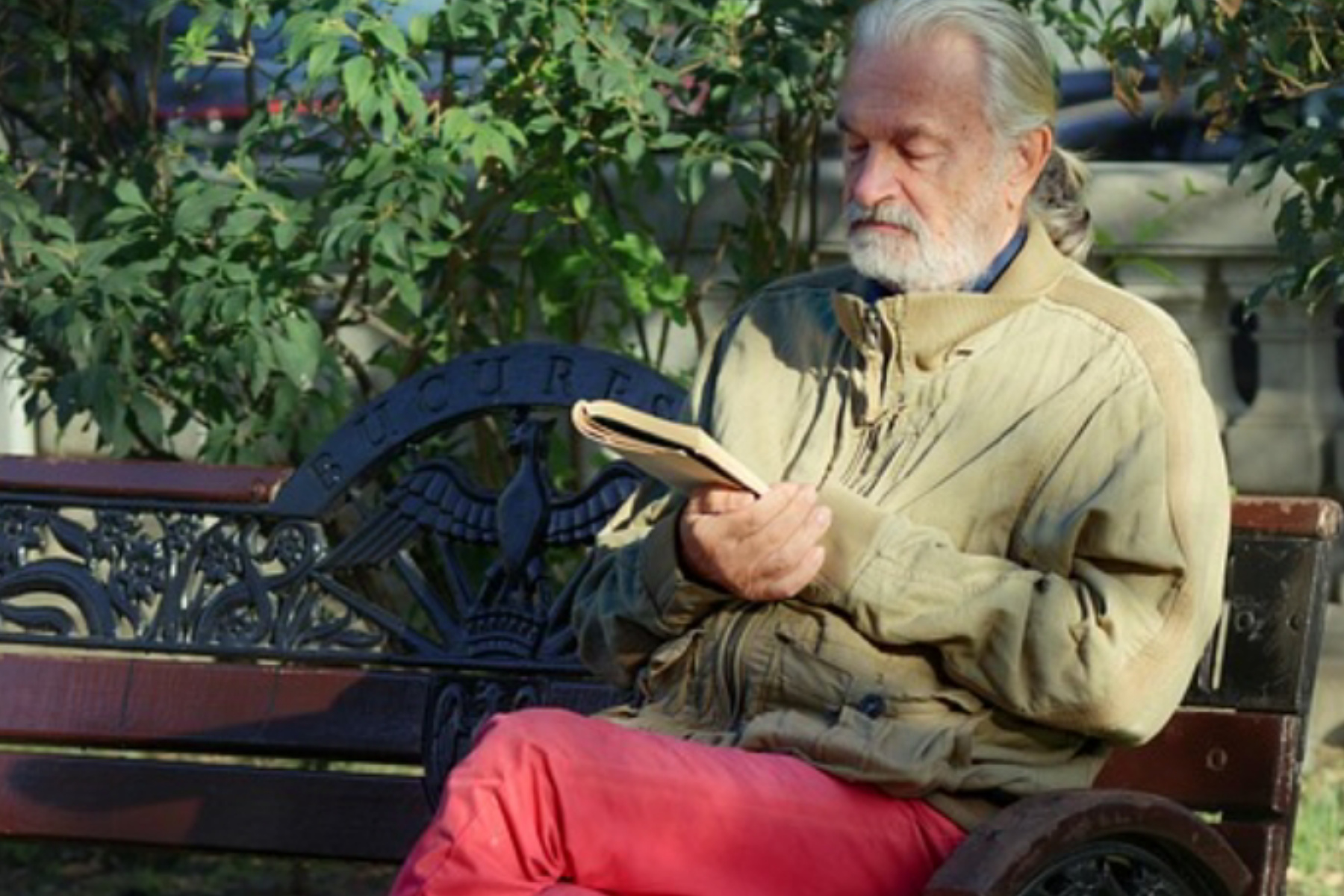 Mengenal Late Bloomer: Mengapa Sukses Tak Harus Diraih di Usia Muda?