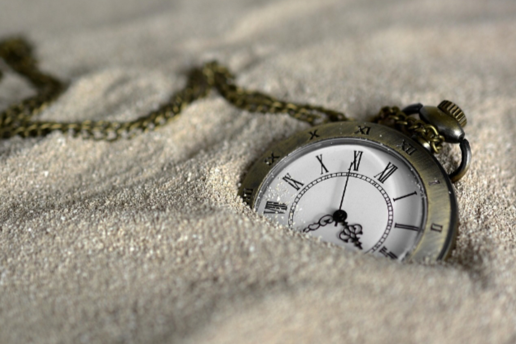 Menunggu Waktu yang Tepat: Seni Kesabaran dalam Hidup