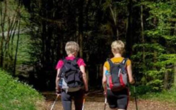 Nordic Walking: Rahasia Jalan Kaki Pakai Tongkat yang Bakar Kalori Maksimal 3 Nordic Walking: Rahasia Jalan Kaki Pakai Tongkat yang Bakar Kalori Maksimal