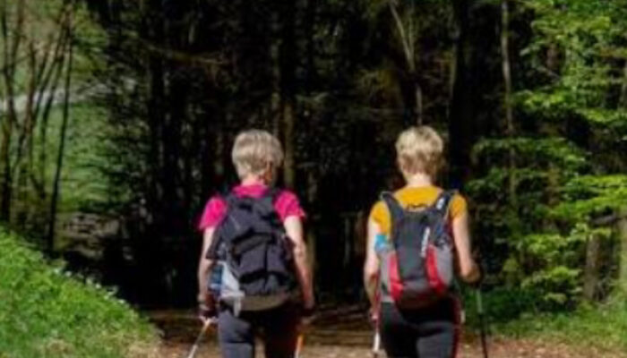 Nordic Walking: Rahasia Jalan Kaki Pakai Tongkat yang Bakar Kalori Maksimal